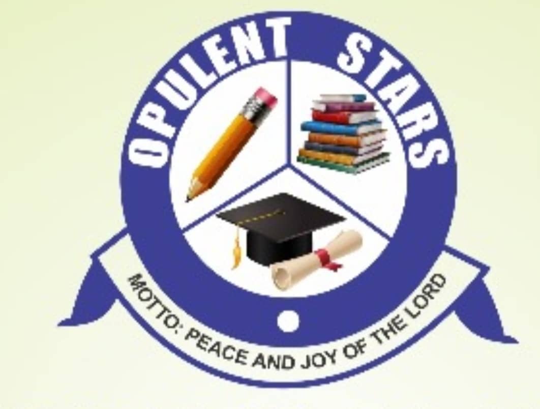 Opulent Stars Creche. logo